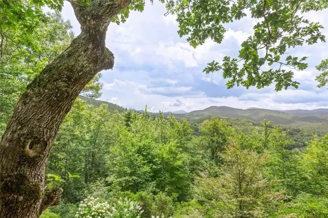 1687 Shirley Pressley Road Glenville NC 28736