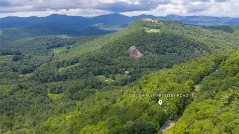 1687 Shirley Pressley Road Glenville NC 28736