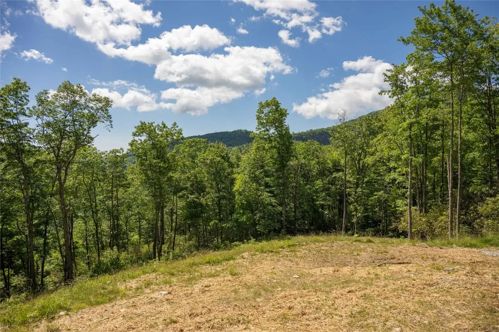 176 Dry Creek Trail Cashiers NC 28717