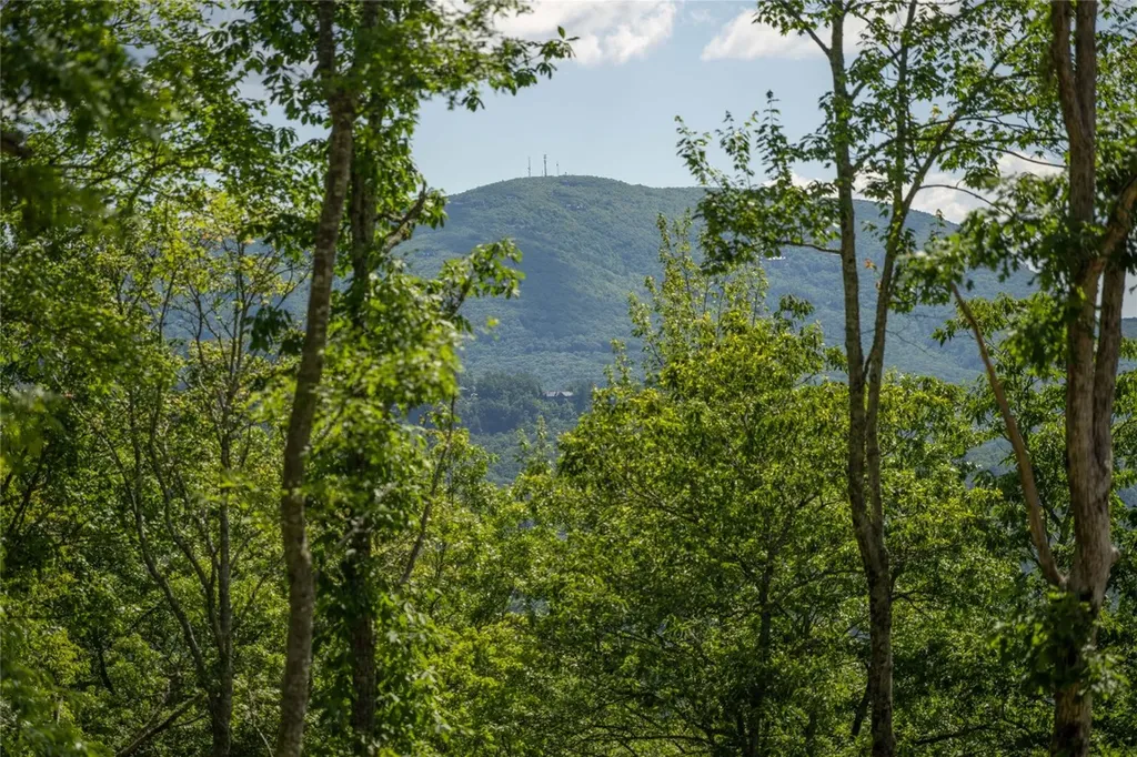 176 Dry Creek Trail Cashiers NC 28717