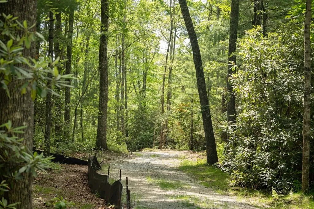 176 Dry Creek Trail Cashiers NC 28717