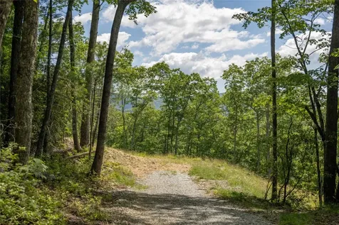 176 Dry Creek Trail Cashiers NC 28717