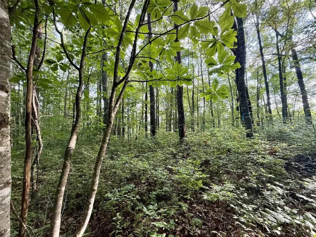 E177 Blue Sky Drive Cashiers NC 28717