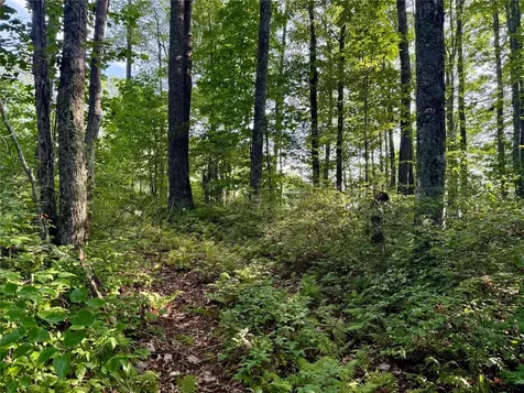 E177 Blue Sky Drive Cashiers NC 28717