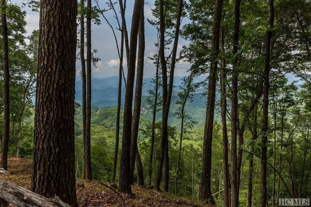 Lot 29 Bullbriar Drive Glenville NC 28736