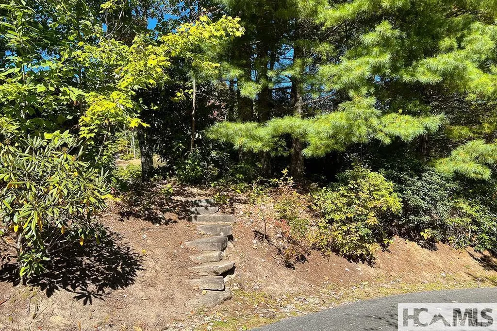 65 Cool Breeze Way Cashiers NC 28717