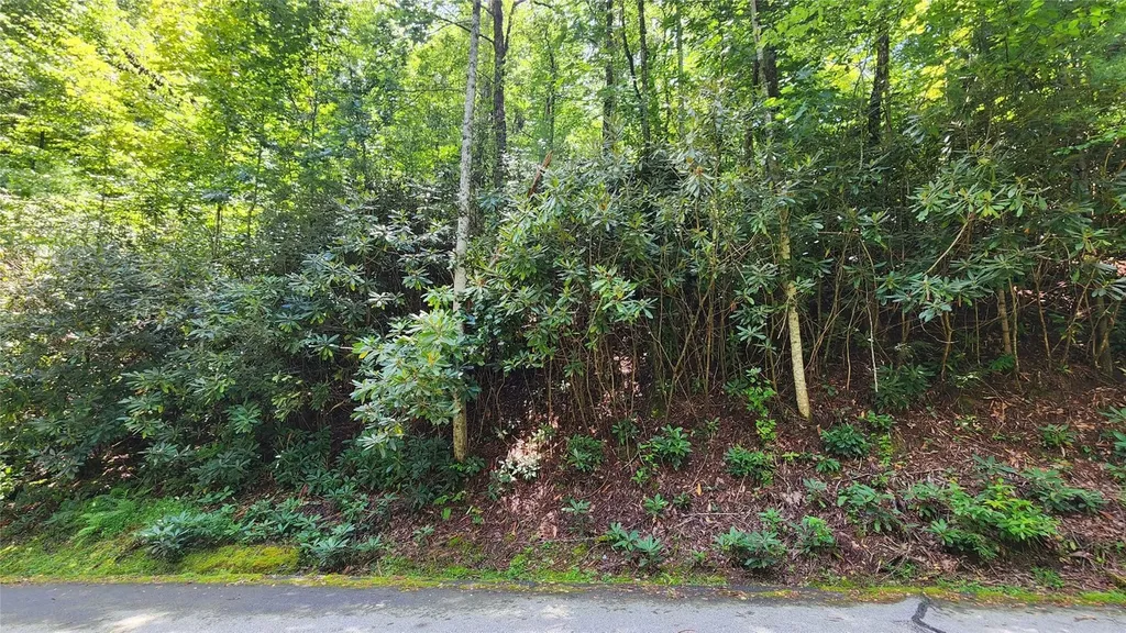 Tbd Whisper Wind Court Sapphire NC 28774