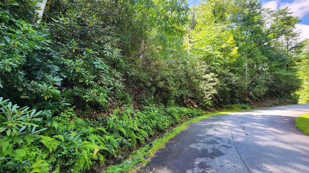 Tbd Whisper Wind Court Sapphire NC 28774