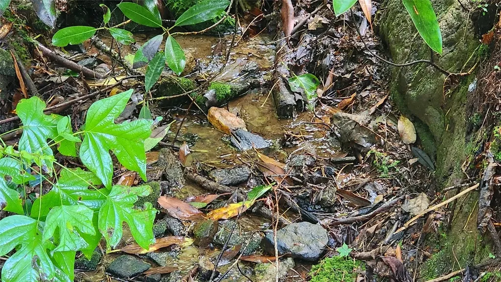 Tbd Whisper Wind Court Sapphire NC 28774