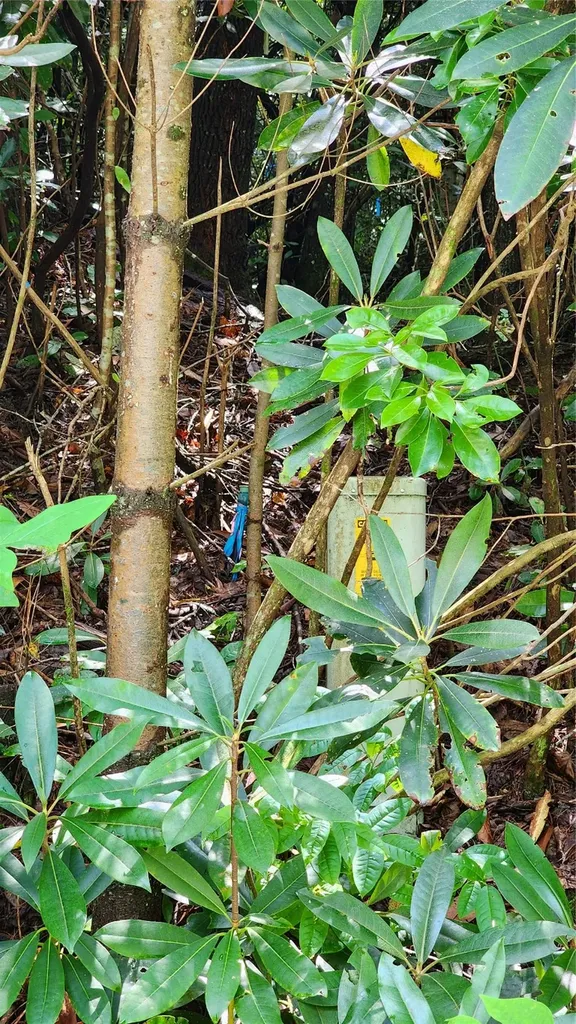 Tbd Whisper Wind Court Sapphire NC 28774