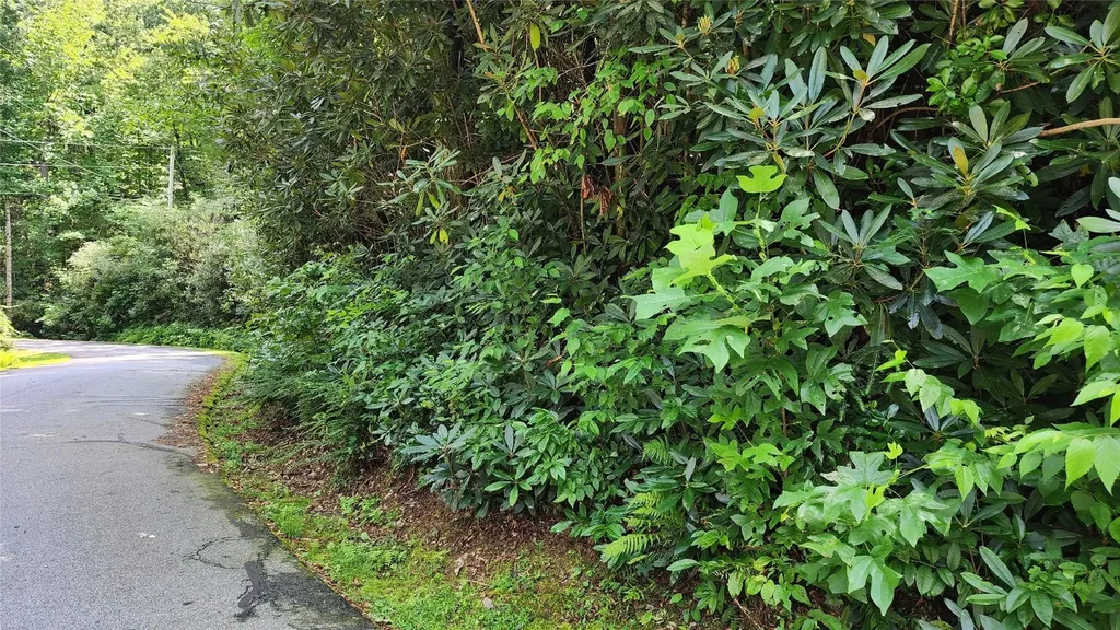 Tbd Whisper Wind Court Sapphire NC 28774