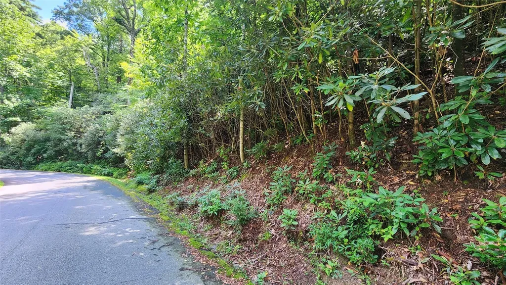 Tbd Whisper Wind Court Sapphire NC 28774