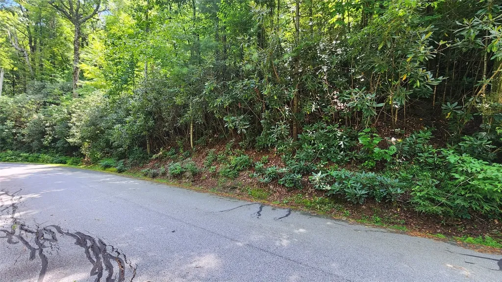 Tbd Whisper Wind Court Sapphire NC 28774