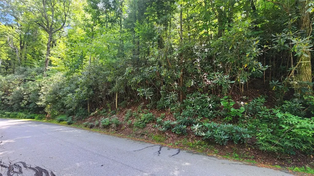 Tbd Whisper Wind Court Sapphire NC 28774