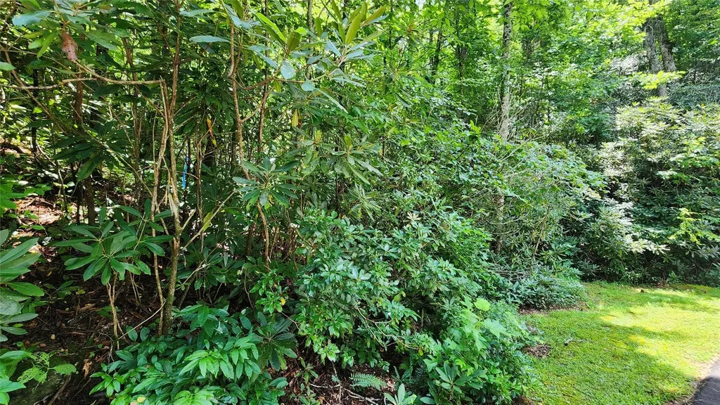 Tbd Whisper Wind Court Sapphire NC 28774