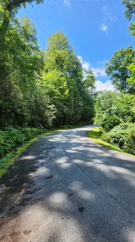 Tbd Whisper Wind Court Sapphire NC 28774