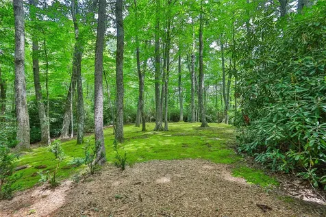 36 Devils Courthouse View Cashiers NC 28717