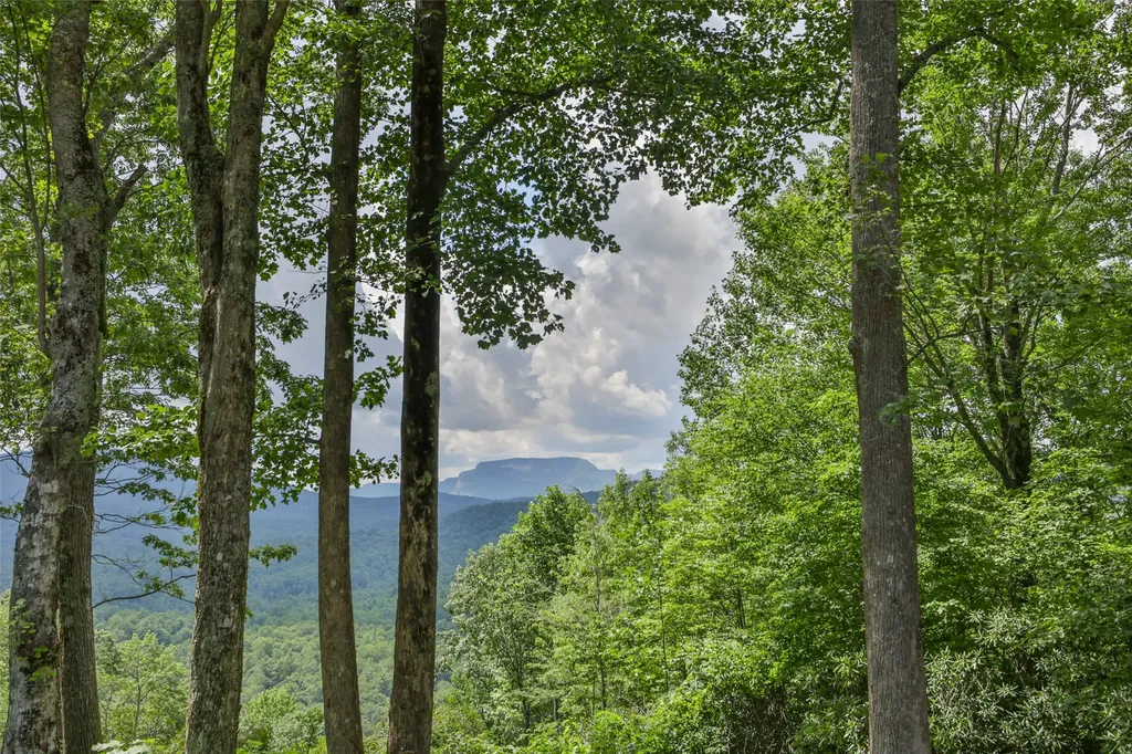 3 Whitewater Ridge Road Sapphire NC 28774