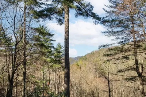 53 Rockytop Drive Cashiers NC 28717