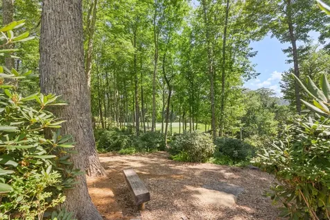 2071 High Mountain Drive Cashiers NC 28717