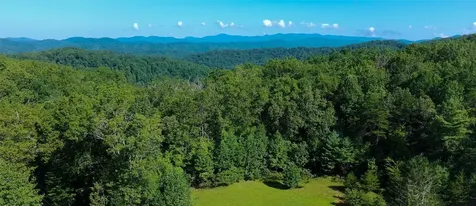 262 Rooster Cove Brevard NC 28712