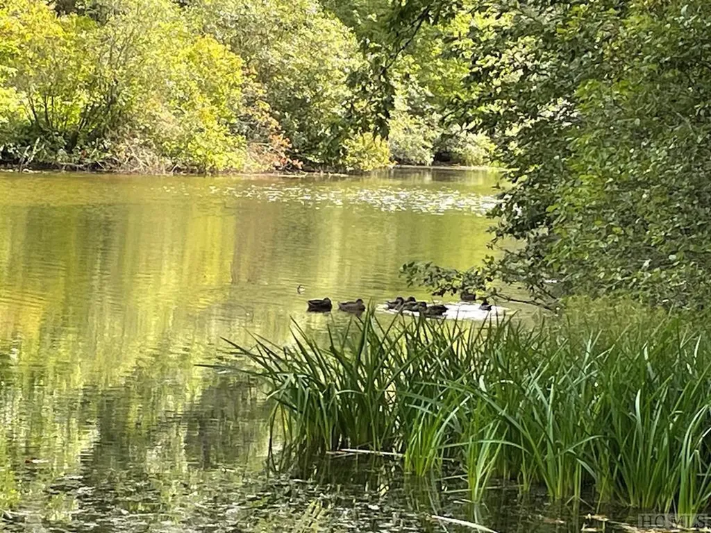 47 Sequoyah Ridge Road Highlands NC 28741