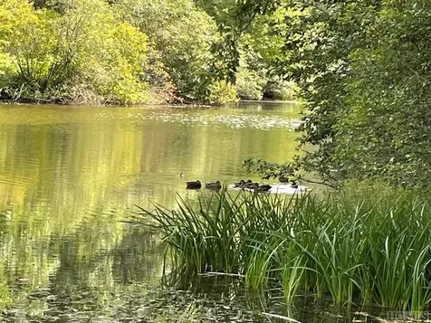 47 Sequoyah Ridge Road Highlands NC 28741