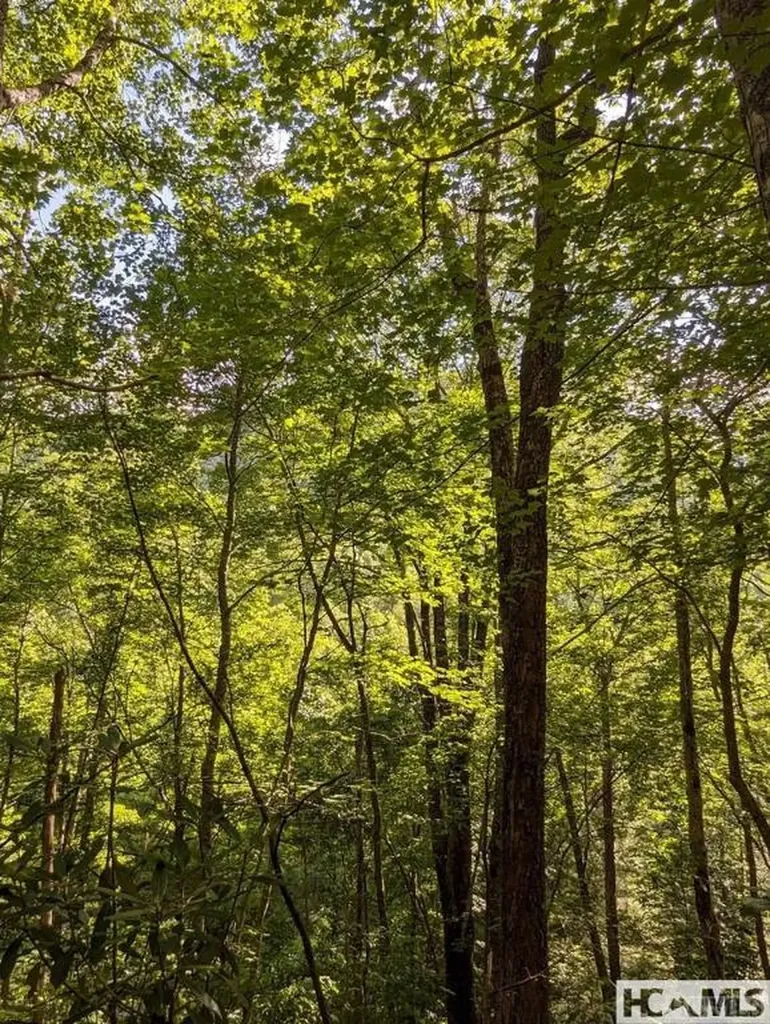 Lot 24 Pilot Knob Road Glenville NC 28736