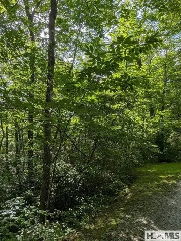 Lot 24 Pilot Knob Road Glenville NC 28736