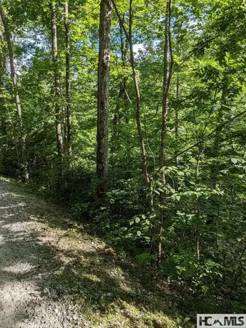 Lot 24 Pilot Knob Road Glenville NC 28736
