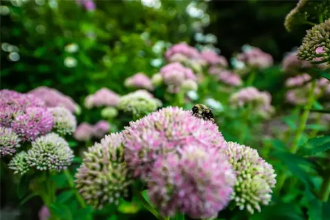 518 Country Club Drive Highlands NC 28741