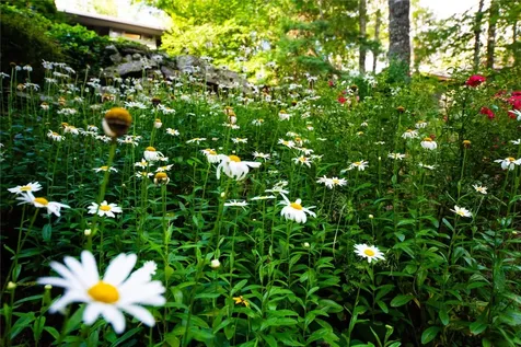 518 Country Club Drive Highlands NC 28741