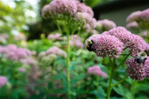 518 Country Club Drive Highlands NC 28741