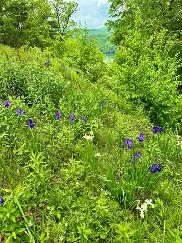 0 Mountain Harbor Club Glenville NC 28736