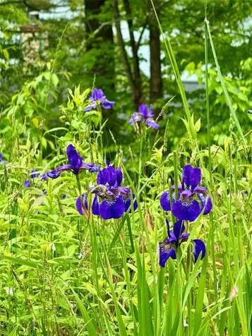 0 Mountain Harbor Club Glenville NC 28736