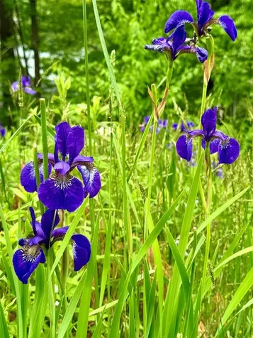 0 Mountain Harbor Club Glenville NC 28736