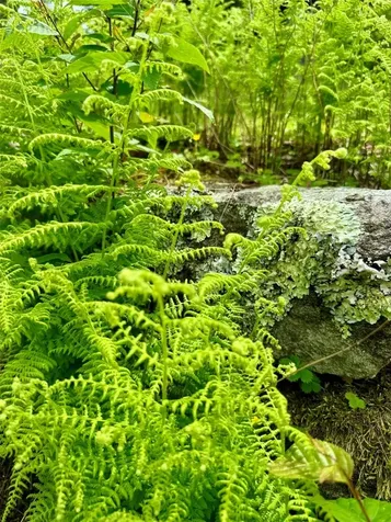 0 Mountain Harbor Club Glenville NC 28736