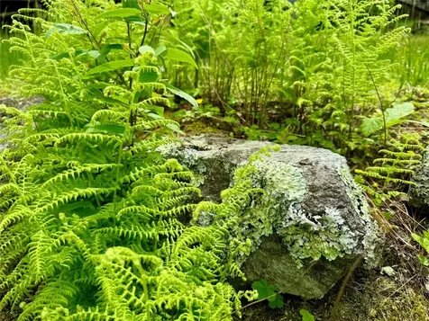 0 Mountain Harbor Club Glenville NC 28736