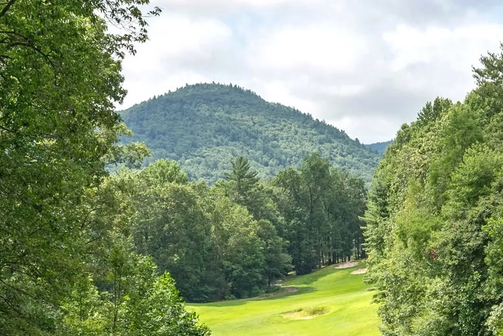 40 Blackberry Trail Sapphire NC 28774