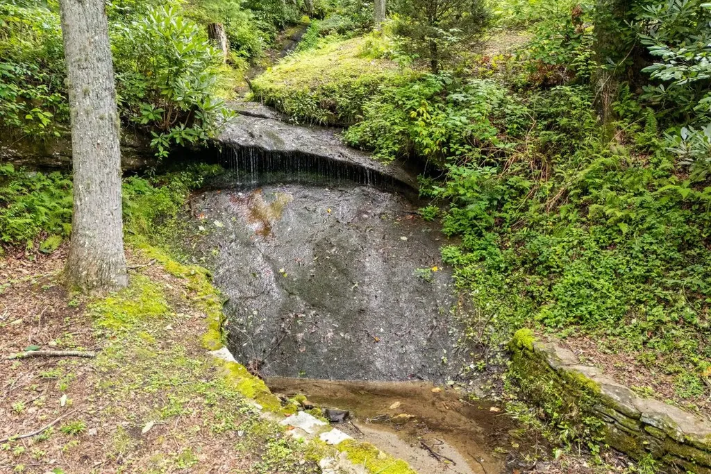 40 Blackberry Trail Sapphire NC 28774