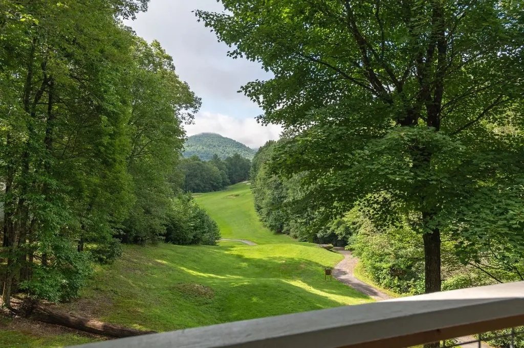 40 Blackberry Trail Sapphire NC 28774