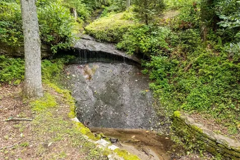 40 Blackberry Trail Sapphire NC 28774