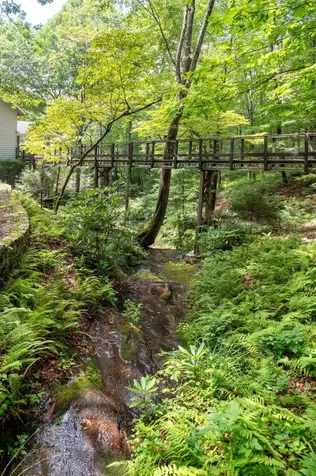 40 Blackberry Trail Sapphire NC 28774