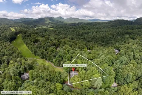 40 Blackberry Trail Sapphire NC 28774