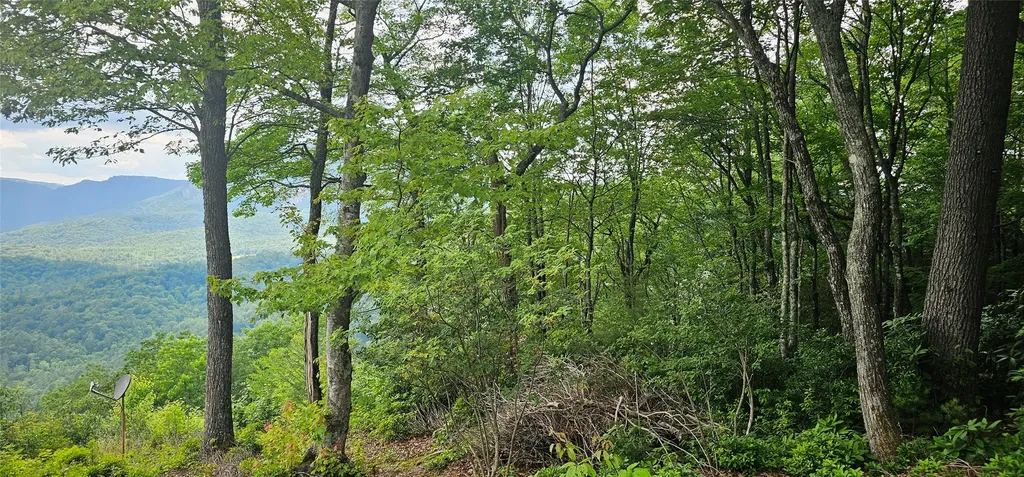 30 Top Of The Ridge Road Cashiers NC 28717