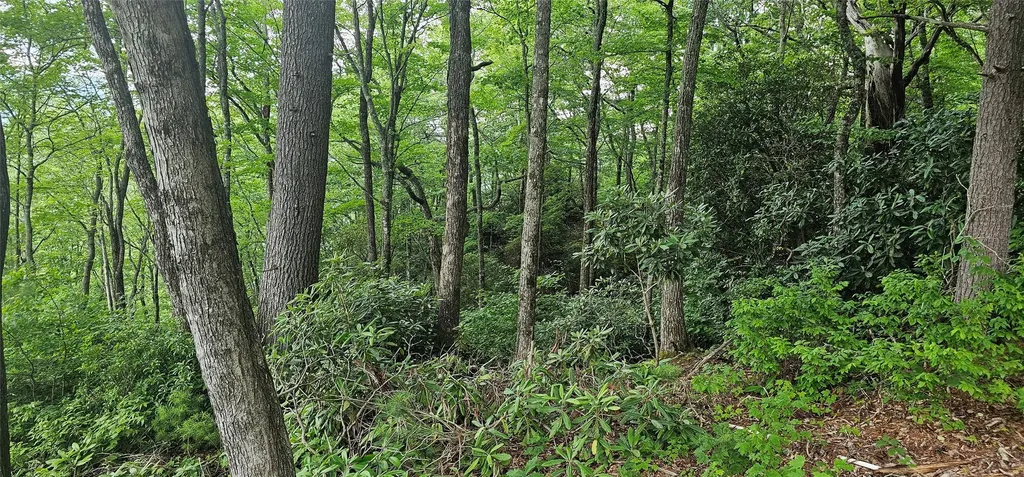 30 Top Of The Ridge Road Cashiers NC 28717