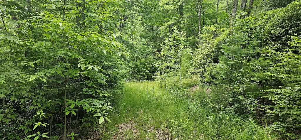 30 Top Of The Ridge Road Cashiers NC 28717