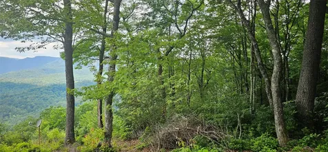 30 Top Of The Ridge Road Cashiers NC 28717