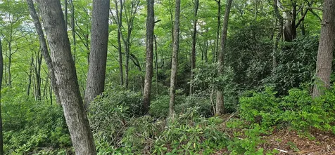 30 Top Of The Ridge Road Cashiers NC 28717