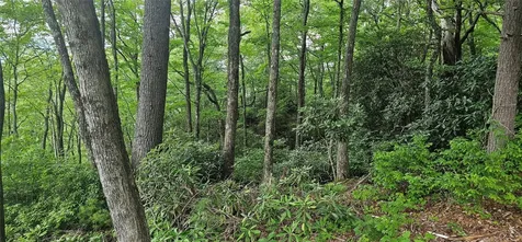 30 Top Of The Ridge Road Cashiers NC 28717